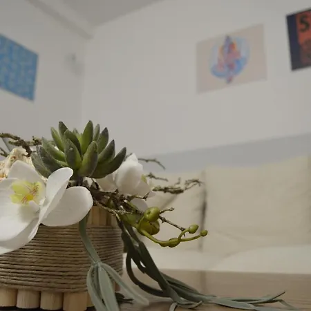 Appartement Vianymar *